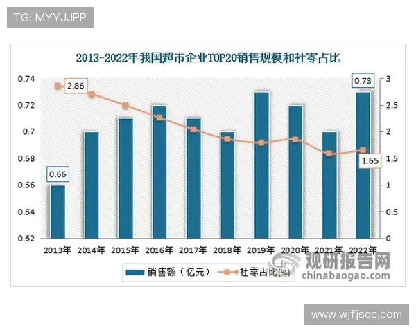 斯旺西俱乐部的辉煌历程与未来发展前景分析