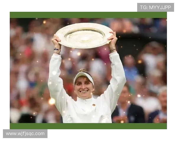 网球大满贯历史中年龄最大冠军的传奇突破与不老传说